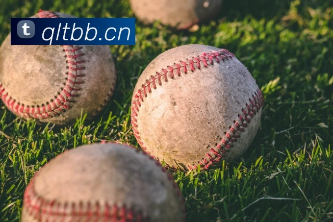 leyu体育网页登录平台生态图